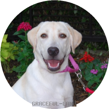 女の子 生後6カ月